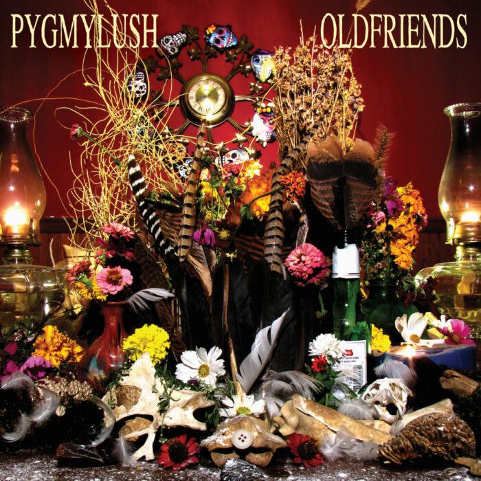 242 - Pygmy Lush - Old Friends
