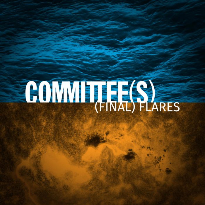 (Final) Flares by Committee(s) - Lovitt Records